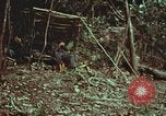 Image of survival techniques Philippines, 1968, second 7 stock footage video 65675072412
