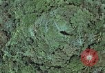 Image of survival techniques Philippines, 1968, second 10 stock footage video 65675072412