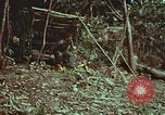 Image of survival techniques Philippines, 1968, second 15 stock footage video 65675072412