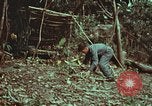 Image of survival techniques Philippines, 1968, second 17 stock footage video 65675072412