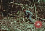 Image of survival techniques Philippines, 1968, second 18 stock footage video 65675072412