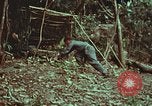 Image of survival techniques Philippines, 1968, second 19 stock footage video 65675072412