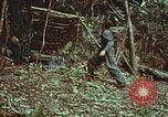 Image of survival techniques Philippines, 1968, second 21 stock footage video 65675072412