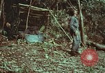 Image of survival techniques Philippines, 1968, second 23 stock footage video 65675072412