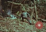 Image of survival techniques Philippines, 1968, second 27 stock footage video 65675072412