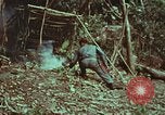 Image of survival techniques Philippines, 1968, second 28 stock footage video 65675072412