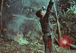 Image of survival techniques Philippines, 1968, second 35 stock footage video 65675072412