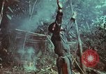 Image of survival techniques Philippines, 1968, second 36 stock footage video 65675072412
