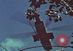 Image of survival techniques Philippines, 1968, second 39 stock footage video 65675072412