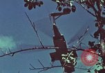 Image of survival techniques Philippines, 1968, second 40 stock footage video 65675072412