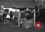Image cosaques russes la Russie, 1914, de la seconde 3 séquences d'archives historiques vidéo 65675072424
