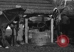 Image cosaques russes la Russie, 1914, de la seconde 19 séquences d'archives historiques vidéo 65675072424