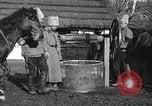 Image cosaques russes la Russie, 1914, de la seconde 20 séquences d'archives historiques vidéo 65675072424