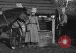 Image cosaques russes la Russie, 1914, de la seconde 22 séquences d'archives historiques vidéo 65675072424