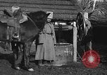 Image cosaques russes la Russie, 1914, de la seconde 23 séquences d'archives historiques vidéo 65675072424