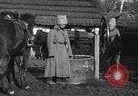 Image cosaques russes la Russie, 1914, de la seconde 24 séquences d'archives historiques vidéo 65675072424