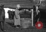 Image cosaques russes la Russie, 1914, de la seconde 25 séquences d'archives historiques vidéo 65675072424