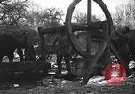 Image cosaques russes la Russie, 1914, de la seconde 34 séquences d'archives historiques vidéo 65675072424
