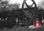 Image cosaques russes la Russie, 1914, de la seconde 36 séquences d'archives historiques vidéo 65675072424