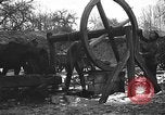 Image cosaques russes la Russie, 1914, de la seconde 37 séquences d'archives historiques vidéo 65675072424