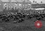 Image of American airmen exercise and calisthenics World War I London England United Kingdom, 1917, second 10 stock footage video 65675072433