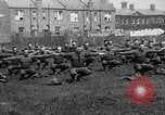Image of American airmen exercise and calisthenics World War I London England United Kingdom, 1917, second 11 stock footage video 65675072433