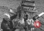 Image of Japanese paper bomb balloon Pacific Theater, 1945, second 21 stock footage video 65675072436