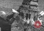 Image of Japanese paper bomb balloon Pacific Theater, 1945, second 24 stock footage video 65675072436