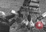 Image of Japanese paper bomb balloon Pacific Theater, 1945, second 25 stock footage video 65675072436