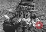 Image of Japanese paper bomb balloon Pacific Theater, 1945, second 28 stock footage video 65675072436