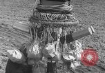 Image of Japanese paper bomb balloon Pacific Theater, 1945, second 31 stock footage video 65675072436