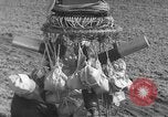 Image of Japanese paper bomb balloon Pacific Theater, 1945, second 33 stock footage video 65675072436