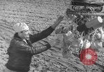 Image of Japanese paper bomb balloon Pacific Theater, 1945, second 45 stock footage video 65675072436