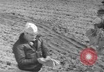 Image of Japanese paper bomb balloon Pacific Theater, 1945, second 46 stock footage video 65675072436