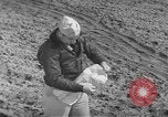 Image of Japanese paper bomb balloon Pacific Theater, 1945, second 54 stock footage video 65675072436