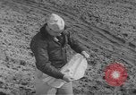 Image of Japanese paper bomb balloon Pacific Theater, 1945, second 55 stock footage video 65675072436