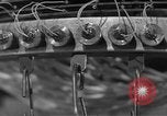 Image of Japanese balloon bomb demonstration Pacific Theater, 1945, second 1 stock footage video 65675072437