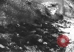 Image of Dieppe Raid France, 1942, second 10 stock footage video 65675072446