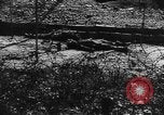 Image of Dieppe Raid France, 1942, second 19 stock footage video 65675072446