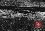 Image of Dieppe Raid France, 1942, second 20 stock footage video 65675072446