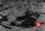 Image of Dieppe Raid France, 1942, second 25 stock footage video 65675072446