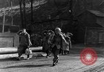Image of 334th Infantry Regiment Germany, 1945, second 14 stock footage video 65675072466