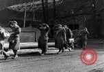 Image of 334th Infantry Regiment Germany, 1945, second 21 stock footage video 65675072466