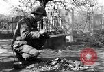 Image of 334th Infantry Regiment Germany, 1945, second 57 stock footage video 65675072466