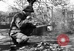 Image of 334th Infantry Regiment Germany, 1945, second 60 stock footage video 65675072466