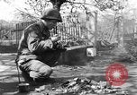 Image of 334th Infantry Regiment Germany, 1945, second 61 stock footage video 65675072466