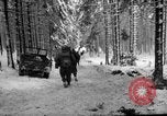 Standbild USA 75 Infanterie voraus Commanster Belgien, 1945, aus Sekunde 11 historischem Filmmaterial Videoclip 65675072472