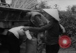 Standbild Flüchtlinge evakuiert Vietnam, 1967, aus Sekunde 14 historischem Filmmaterial Videoclip 65675072479