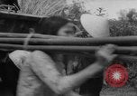 Standbild Flüchtlinge evakuiert Vietnam, 1967, aus Sekunde 16 historischem Filmmaterial Videoclip 65675072479