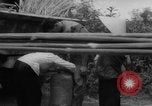 Standbild Flüchtlinge evakuiert Vietnam, 1967, aus Sekunde 17 historischem Filmmaterial Videoclip 65675072479